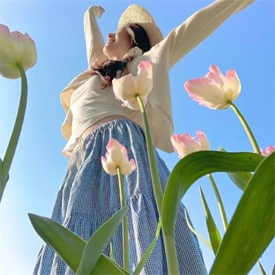 西科克斯七人组的归来
